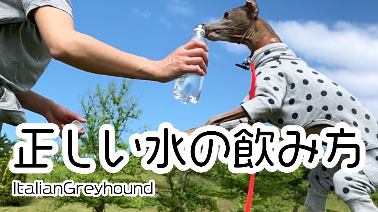 正しい水の飲み方