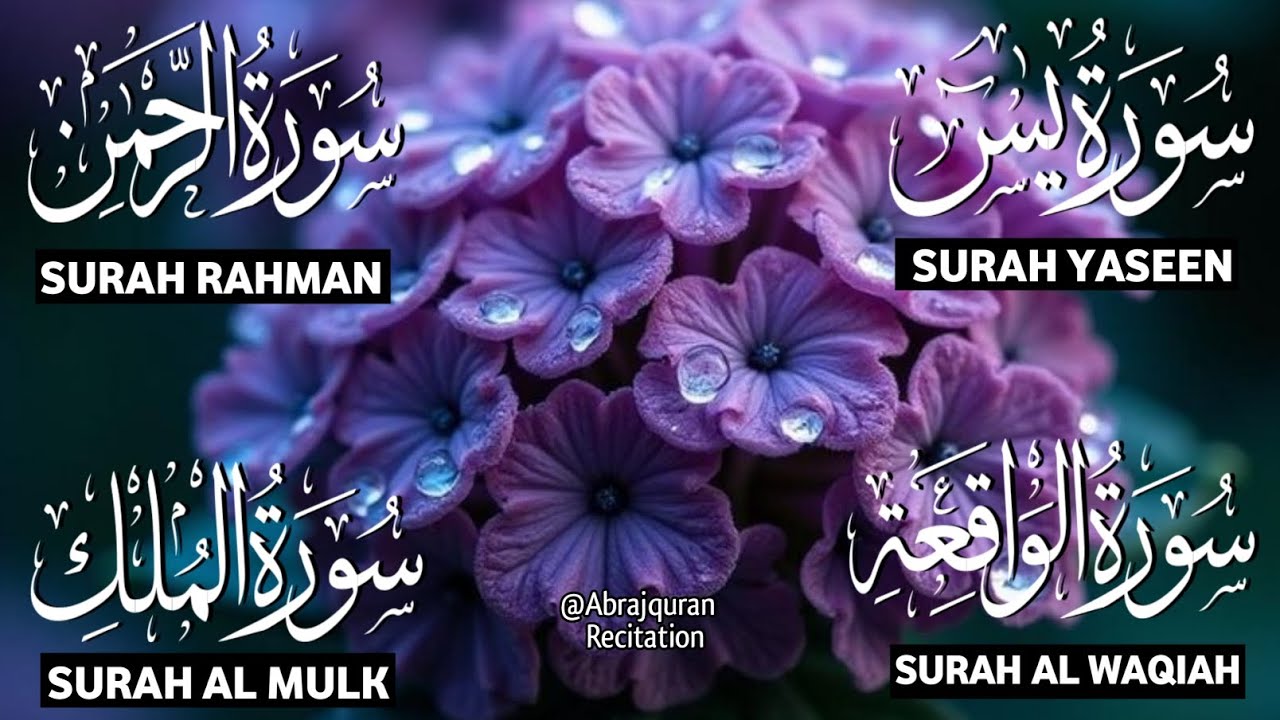 Surah Yaseen ❤ Surah Rahman ❤ Surah Al Waqia ❤ Surah Al mulk Soothing Quran recitation | Ep000386
