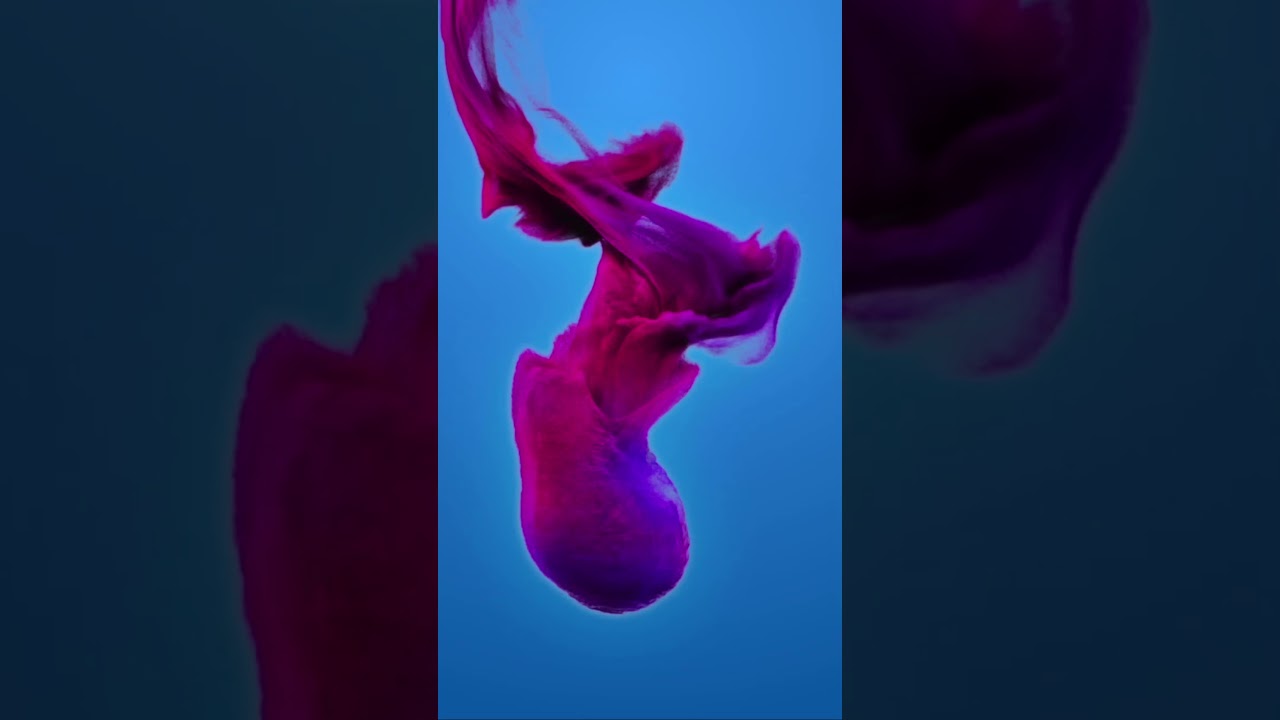 Strawberries & Sugar (S & S) (Image Video) - J