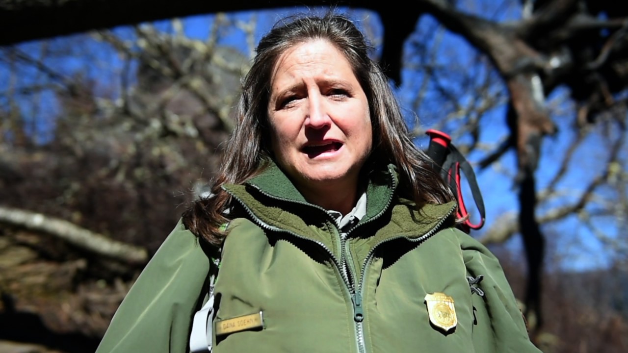 Video: A look at Chimney Tops Trail post-wildfire