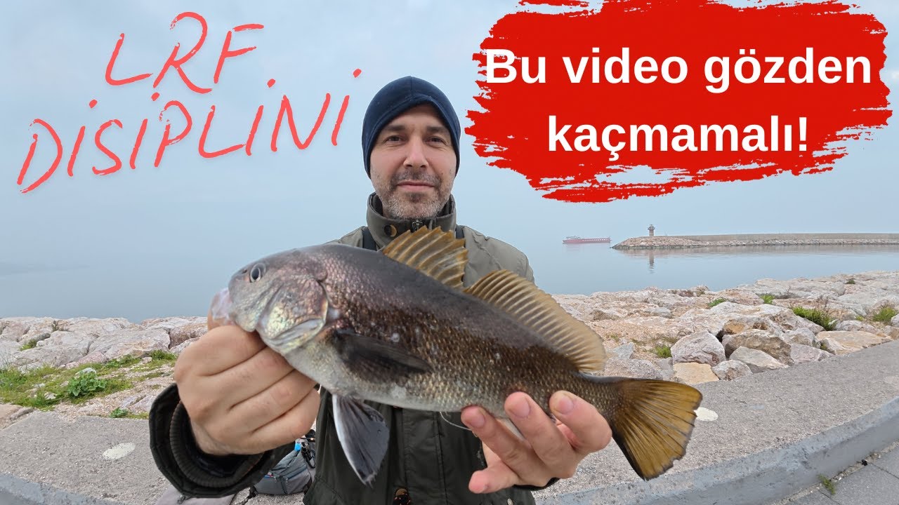 BANDIRMA EŞKİNA AVI / LRF NİN KISA FİLMİNİ ÇEKTİM ÇAY KOYUP İZLEYİN / İSTAVRİT EŞKİNA GÜMÜŞ BALIKLAR