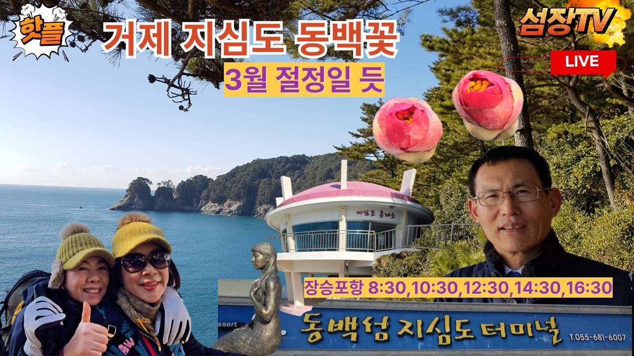 “거제 지심도 동백꽃 개화시기｜2월 방문 후기 & 배편 총정리”