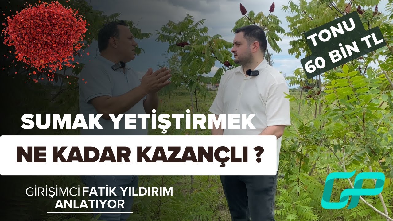 &ldquo;Sıfır Masrafla Y&uuml;ksek Kazan&ccedil;: Sumak Yetiştiriciliği D&ouml;n&uuml;mde 60 Bin TL