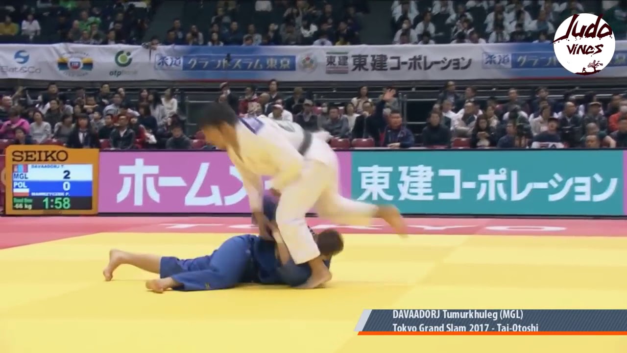 TOP 10 IPPONS 2017)THIS IS JUDO 2017HIGHLIGHTS