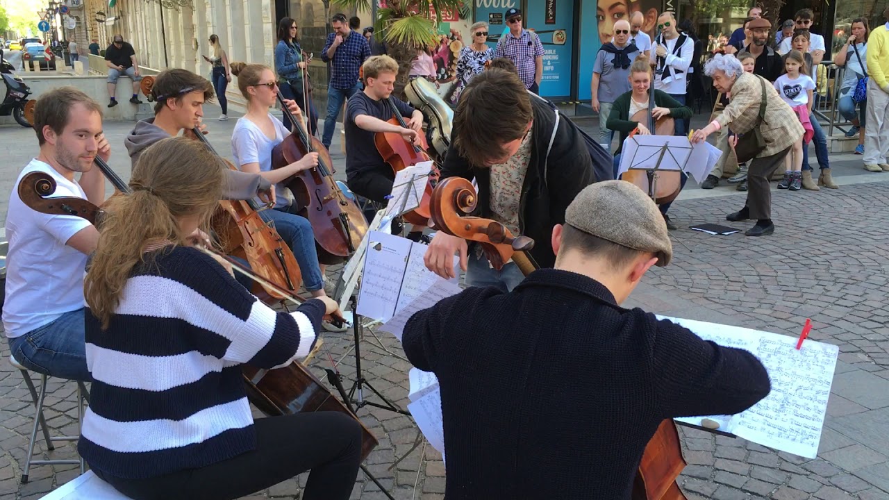 Eight cellos