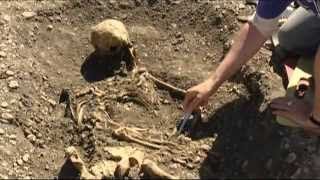 Schliemanns Erben 16 Die Schatzinsel der Wikinger