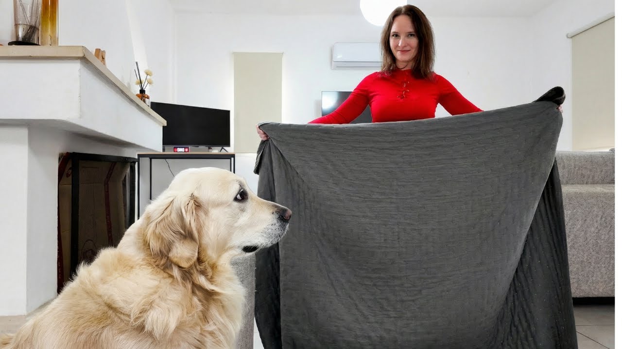 I Tried to Fool My Golden Retriever