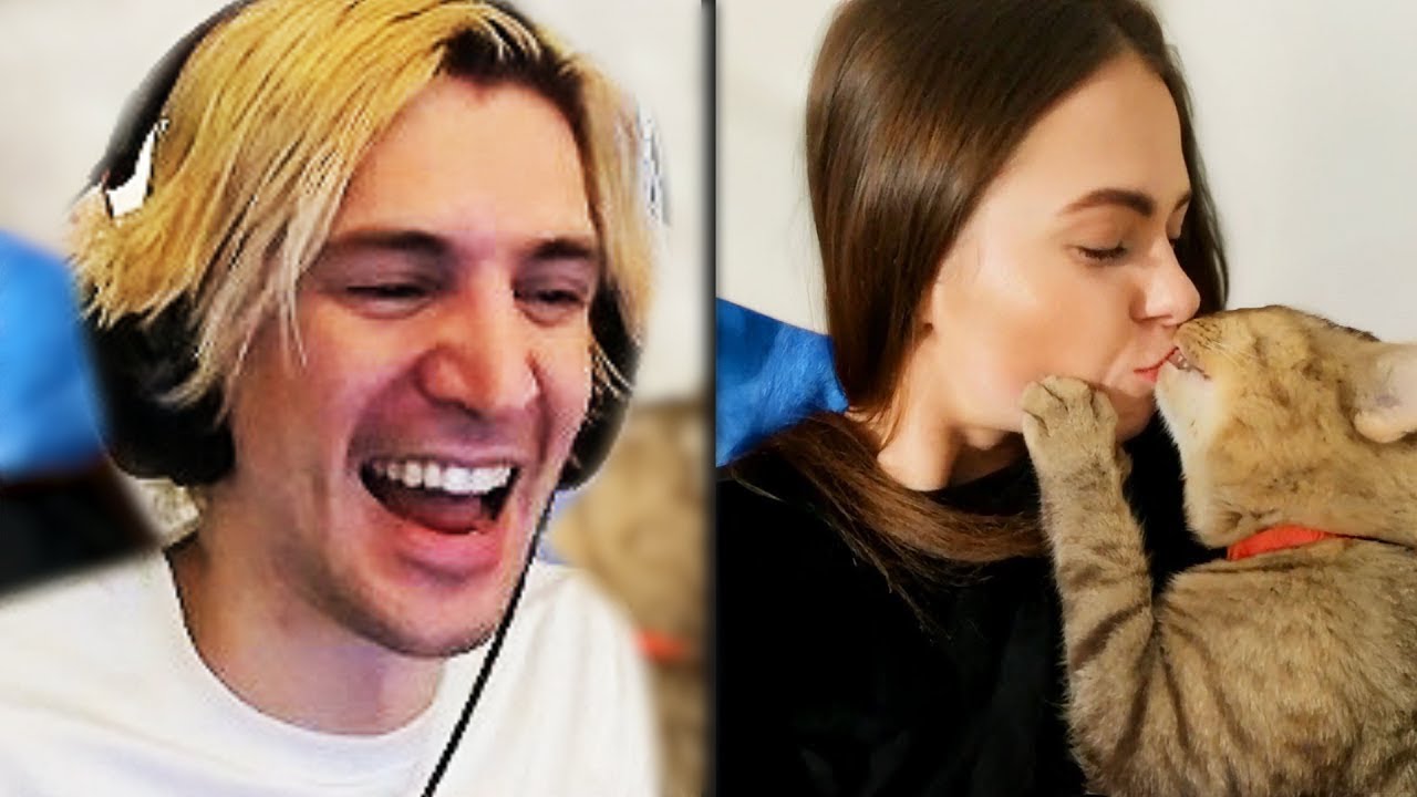 xQc is Entertained by Daily Dose of Internet