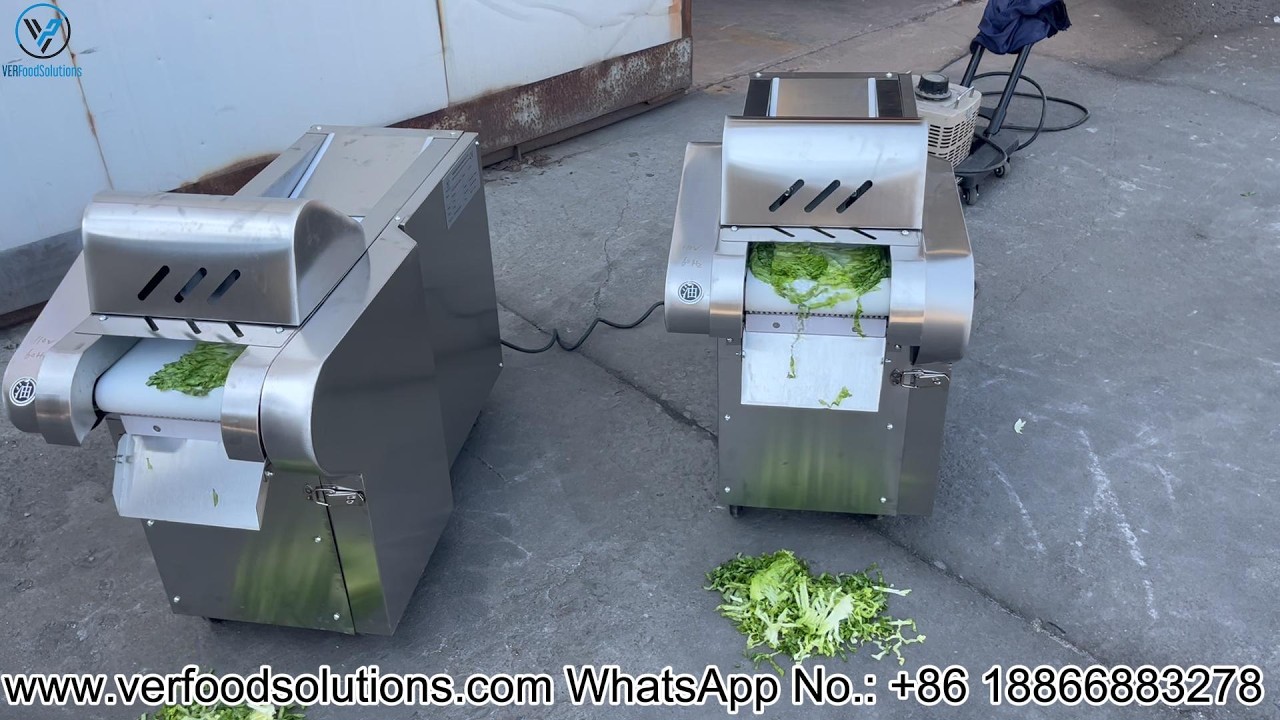 VERFOODSOLUTIONS 10MM Collard Lettuce Leafy Vegetable Cutting Machine Test for America Customer