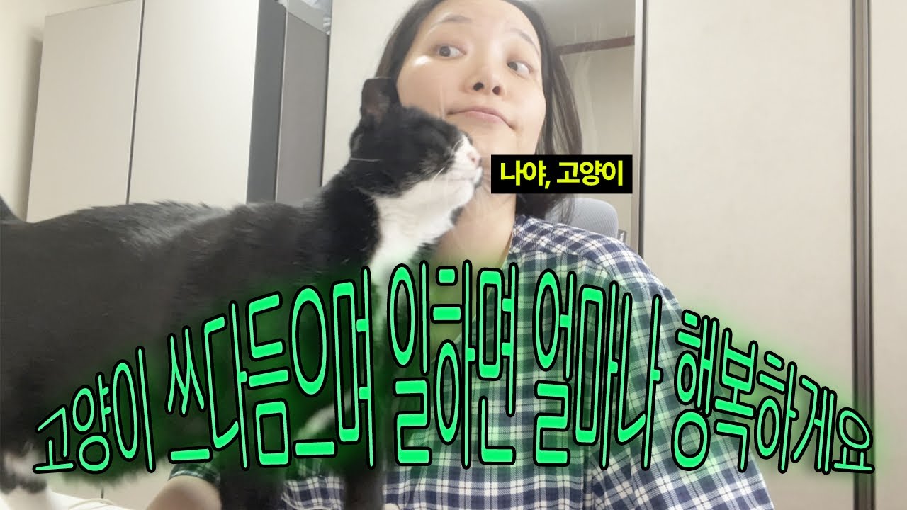 Vlog.풀재택의 맛..💻🐈‍⬛ (복지: 개냥이)