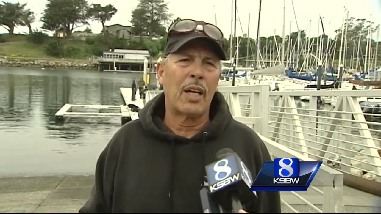 Thousands of fish released into Santa Cruz Harbor
