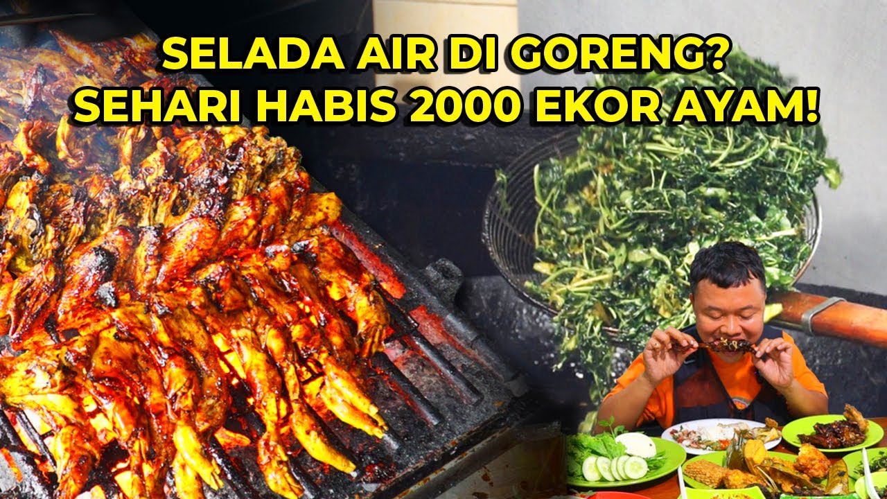 SEHARI HABIS 2000 EKOR AYAM! RAME BANGET SAMPE SUSAH DAPAT TEMPAT DUDUK!