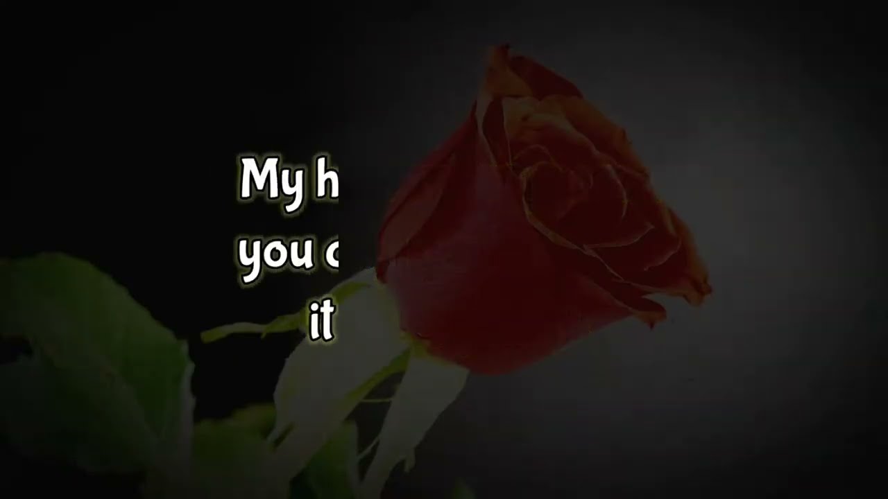 Someone Special Love Messages ❤️ - You + Me = Forever My Love.. #lovemessages