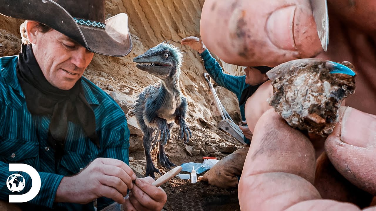 Grande descoberta de uma garra de dromeossauro | Caçadores de Dinossauros | Discovery Brasil