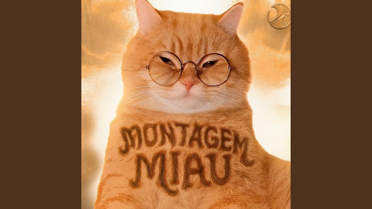 MONTAGEM MIAU (Slowed)
