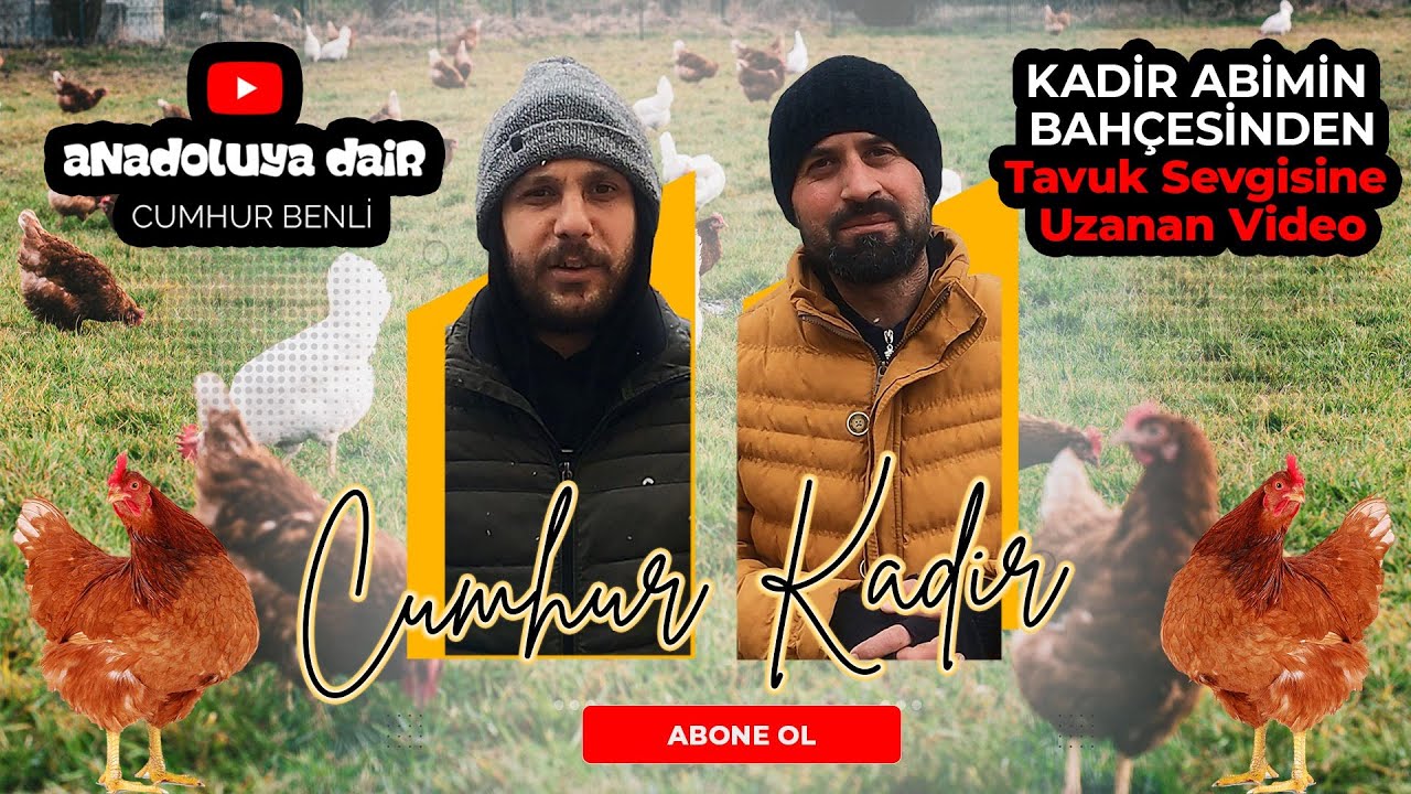 KADİR ABİMİZİN TAVUK SERÜVENİ │ TAVUKLAR HAKKINDA HOŞ SOHBET !