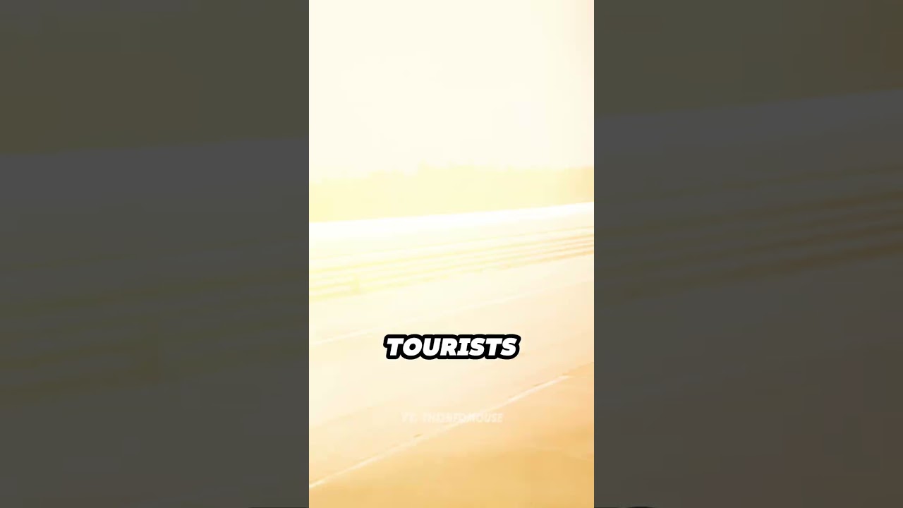 Disney Had a Racetrack?! 🏁 The Forgotten Walt Disney World Speedway