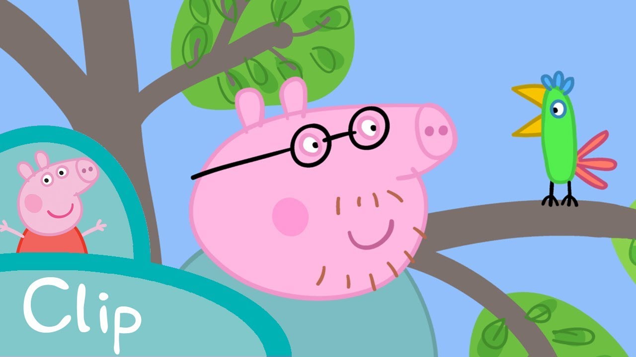 Peppa Pig Français | Sauver Polly le Perroquet