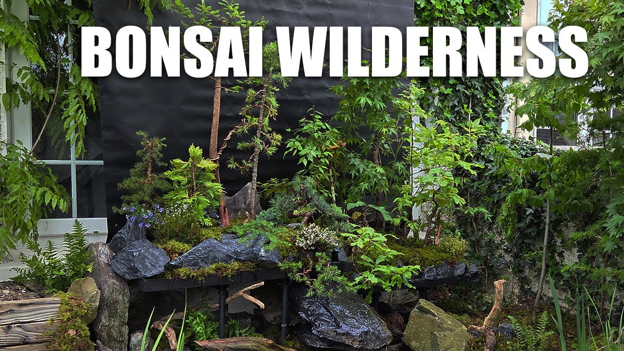 Building a Fantasy Mixed Bonsai Forest with a Waterfall