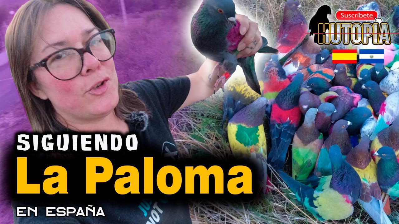 COLOMBICULTURA uno de los deportes extraños de España 🕊️ 🇪🇸