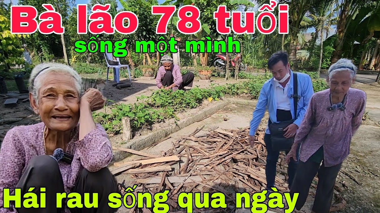 Bà lão 78 tuổi sống một mình hái rau sống qua ngày