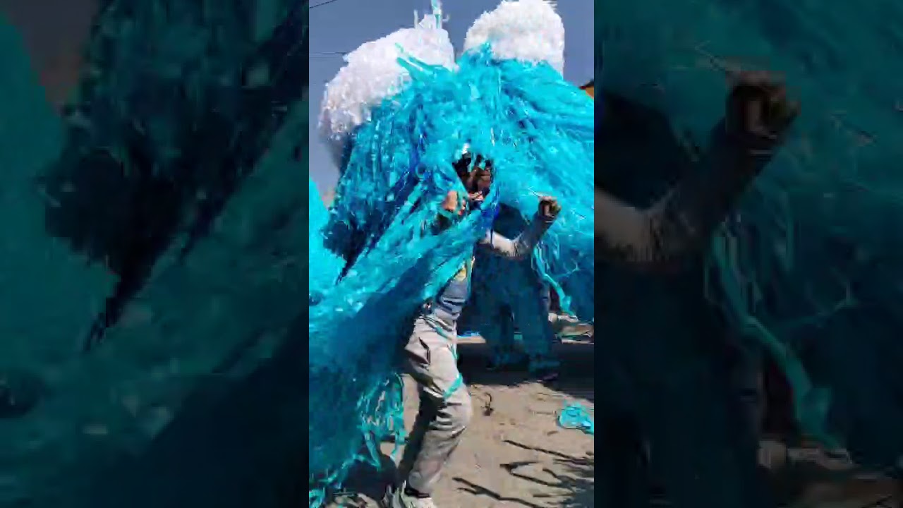 Primos Del Callejon Organización #1 CARNAVAL