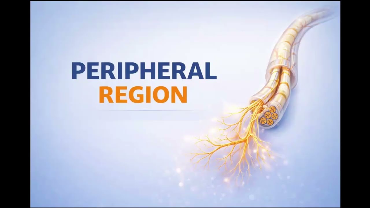 Peripheral Region