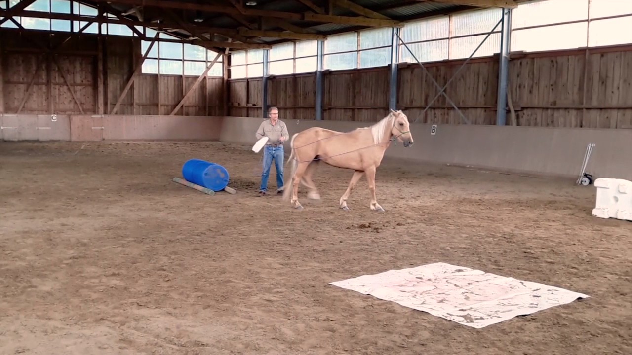 Birger Gieseke und TAG 3171 Update Fahrtraining