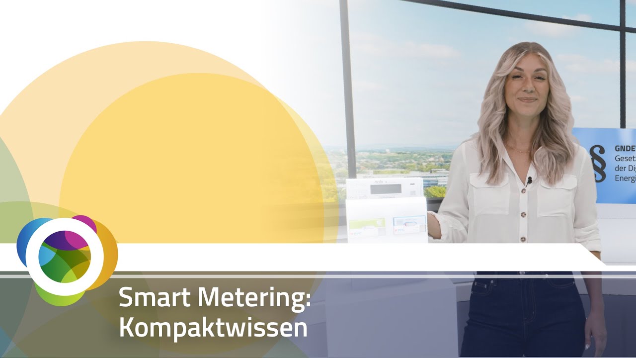Smart Metering: Kompaktwissen