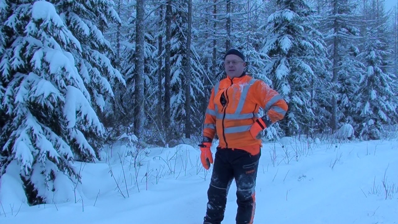 Metsolan Metsäkoulu 43, Pystykarsinta