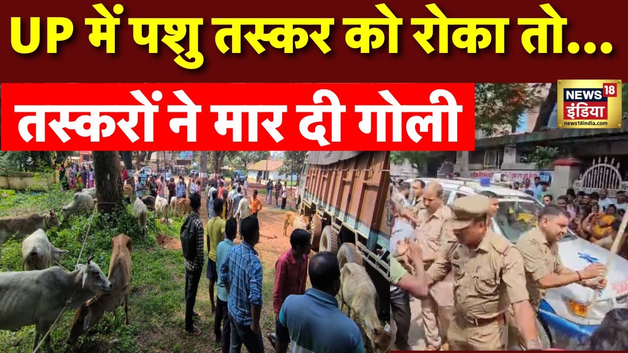 Breaking News Live: Gorakhpur में पशु तस्करों को रोका तो तस्करों ने छात्र को मारी गोली | CM Yogi