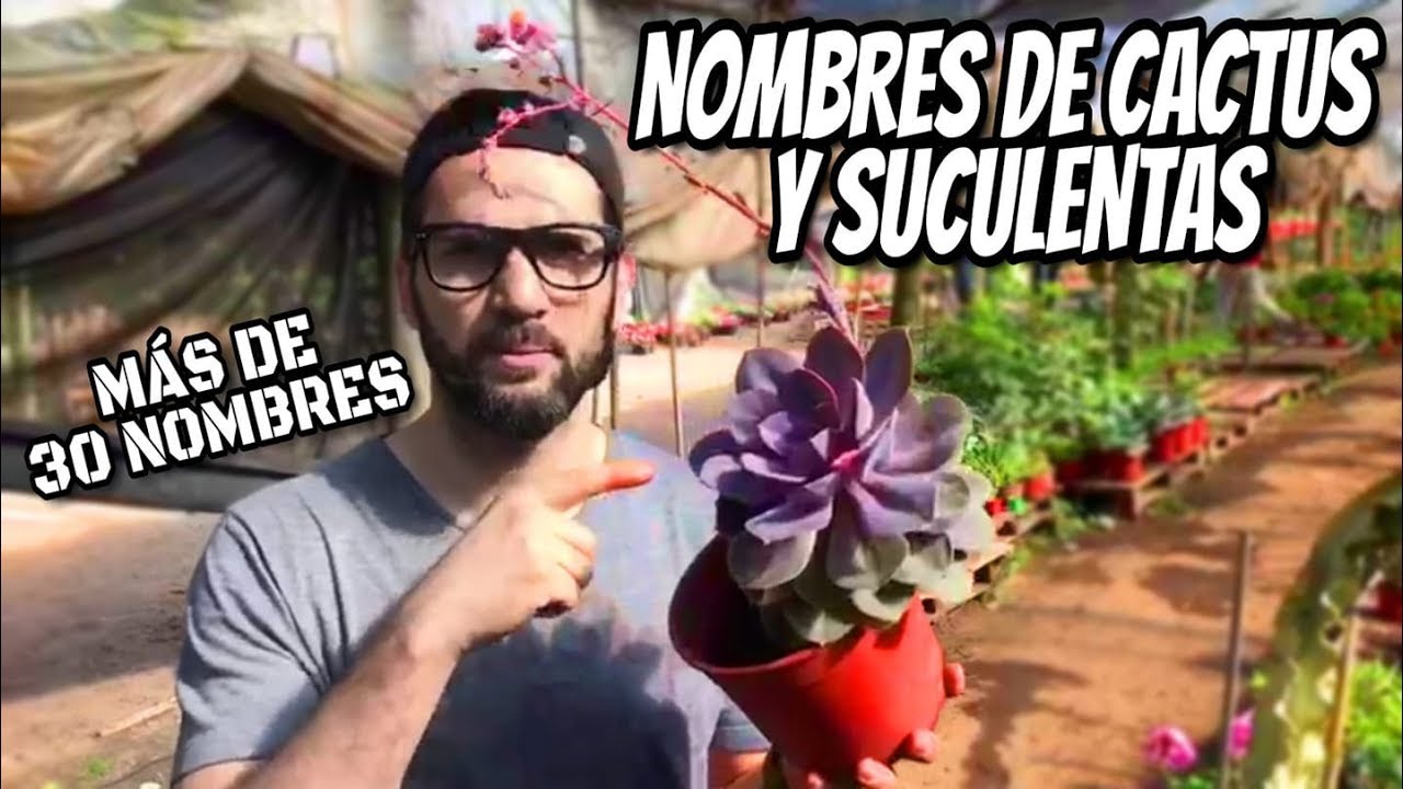 NOMBRES DE CACTUS Y SUCULENTAS ( PARTE 2 )