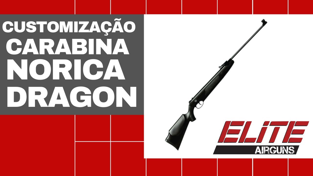 RESULTADO da Customização Elite Airguns carabina Norica Dragon