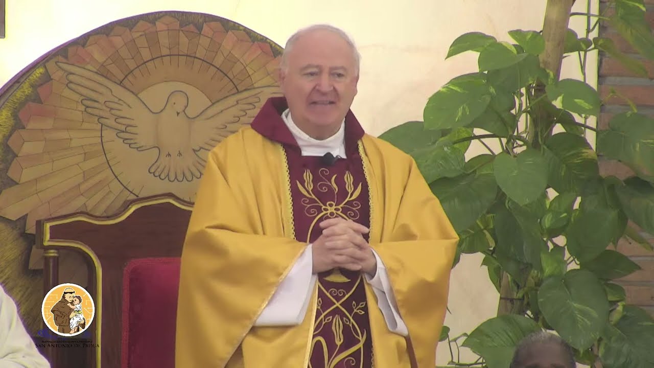 Santa Misa de HOY - Miércoles 11 de Febrero del 2026, Nuestra Señora de Lourdes #misa