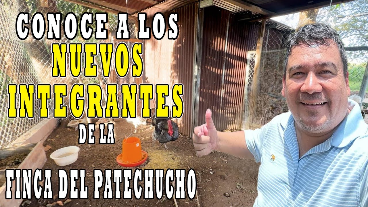 LOS NUEVOS INTEGRANTES DE LA FINCA ENTÉRATE QUIENES SON EN ESTE VIDEO