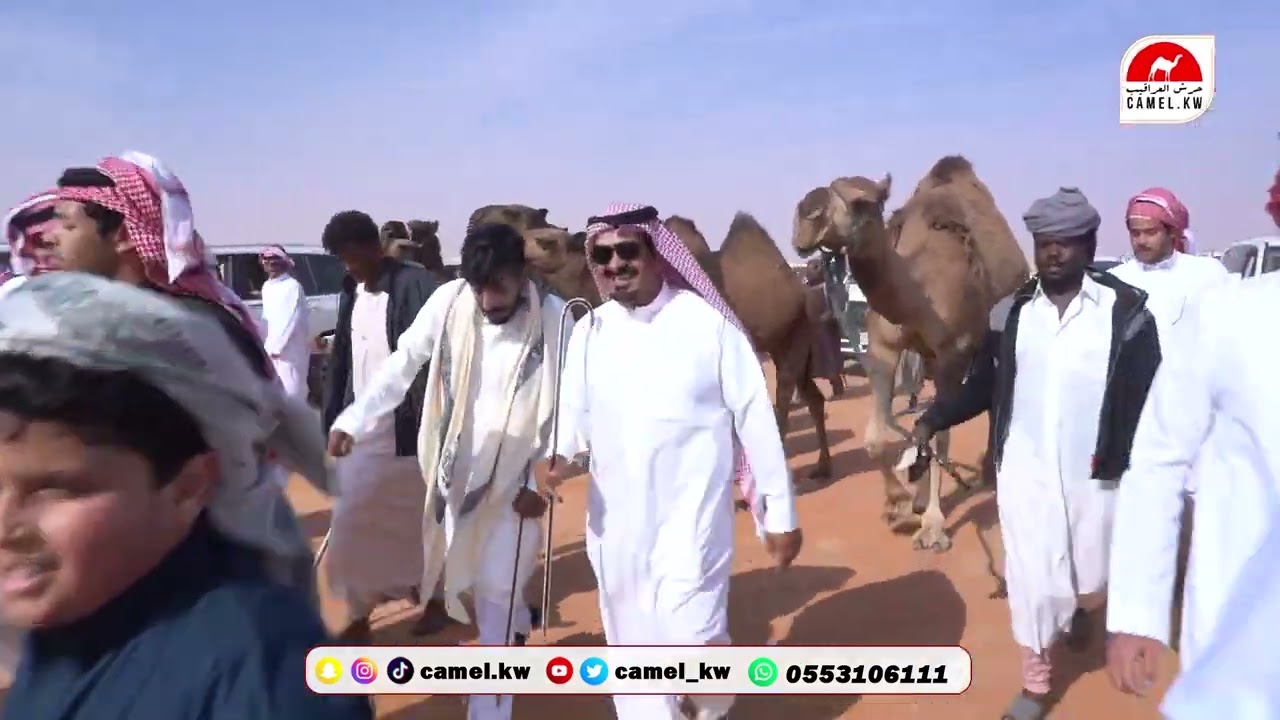 مسيرة فردي - صفر للمالك / نشمي مسعود الظويفري في مهرجان الملك عبدالعزيز 10