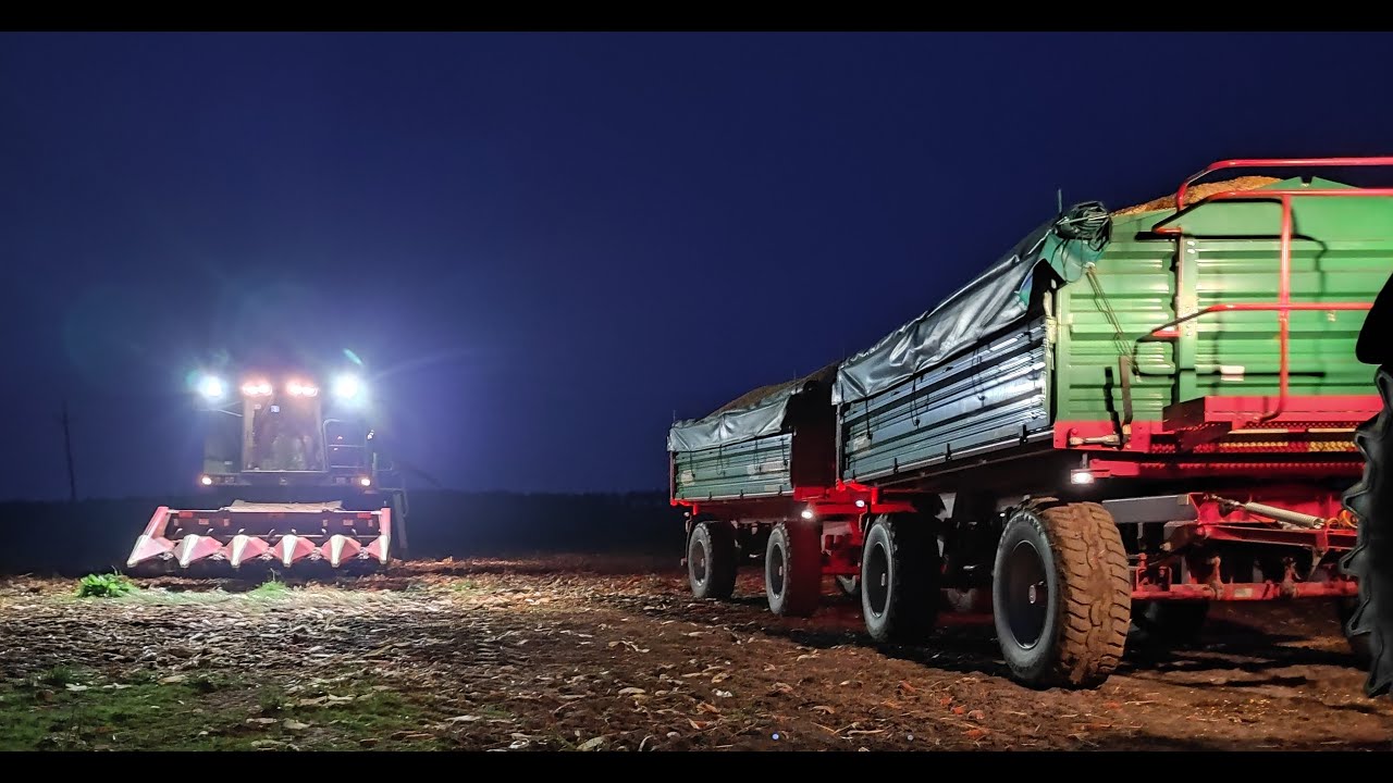 🌽Koszenie kukurydzy na ziarno🌽🚜John Deere 2054