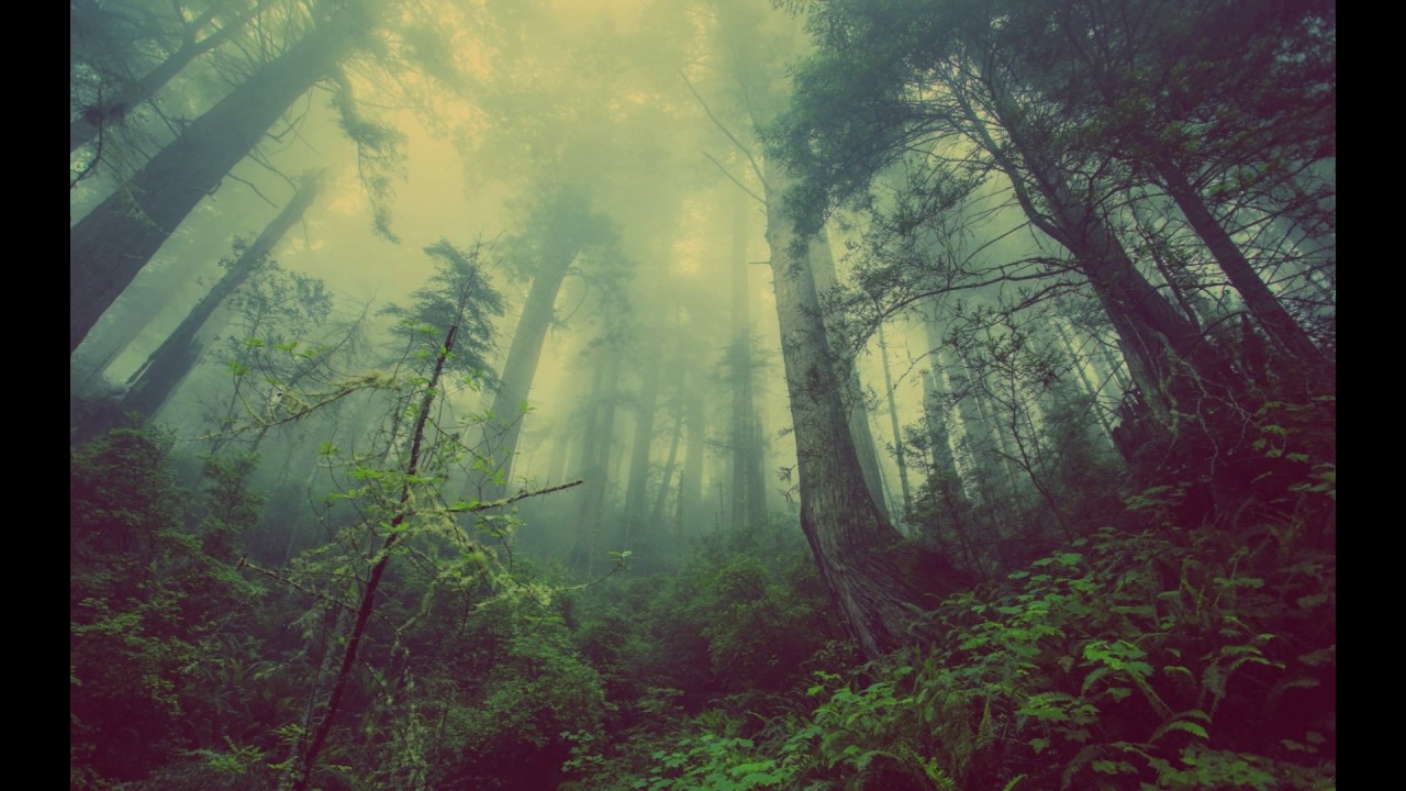~☯~Dark Goa Trance/PsyTrance Mix~ 🐍~