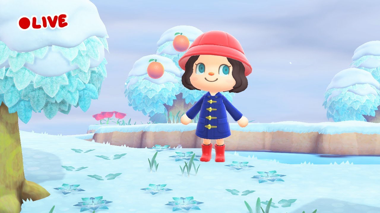 Paddington tour + 3.0 hotel update | Animal Crossing: New Horizons
