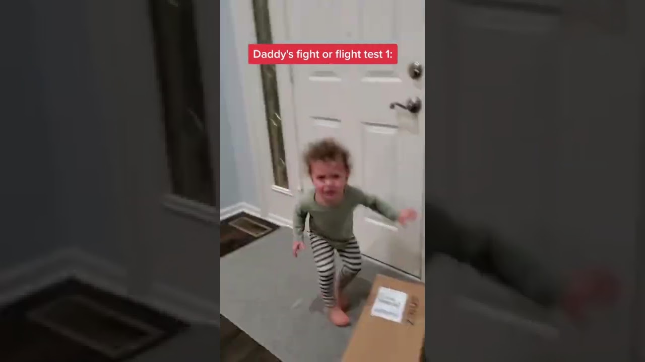 Dad Pranks Kids With Realistic Looking Toy Snake-1343075