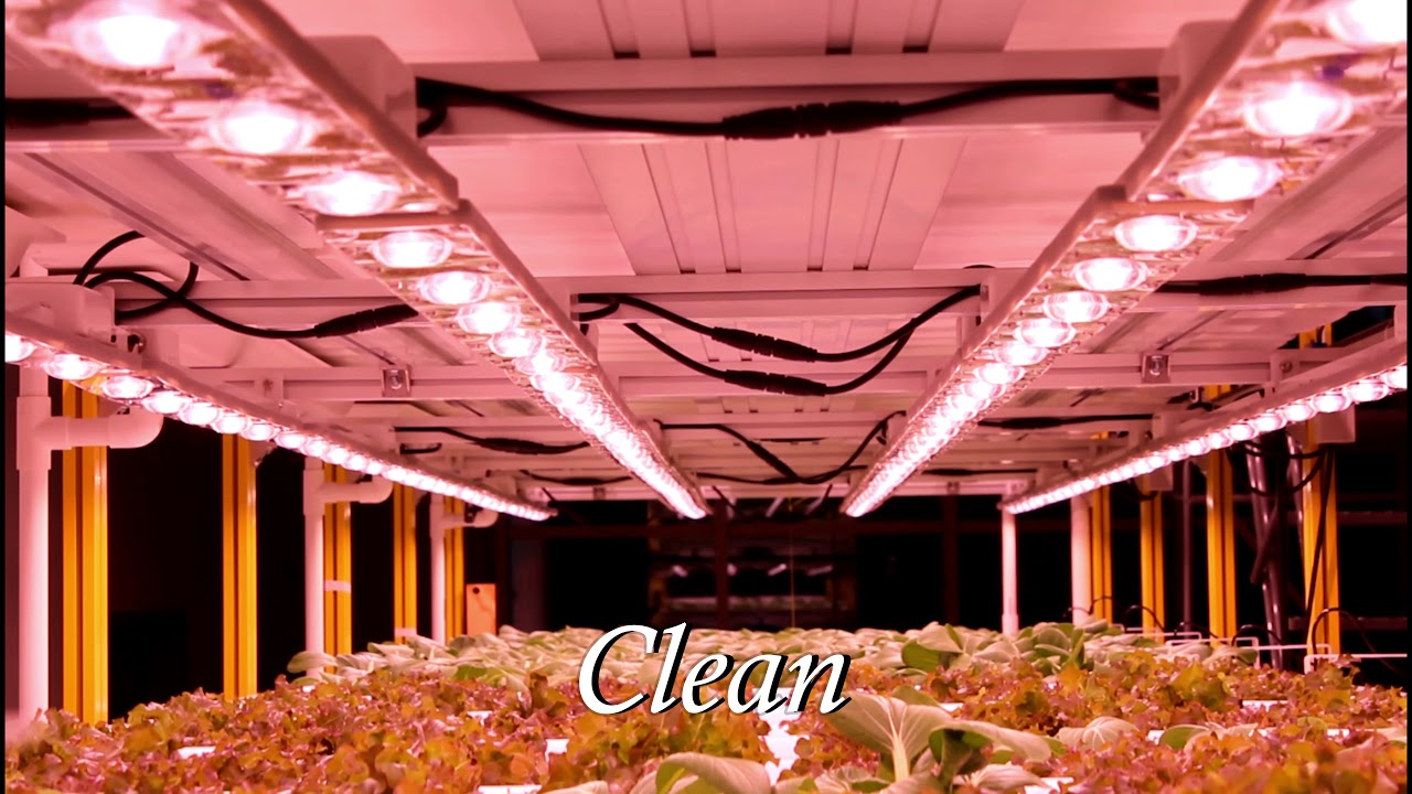 VR-3100 - Know your produce