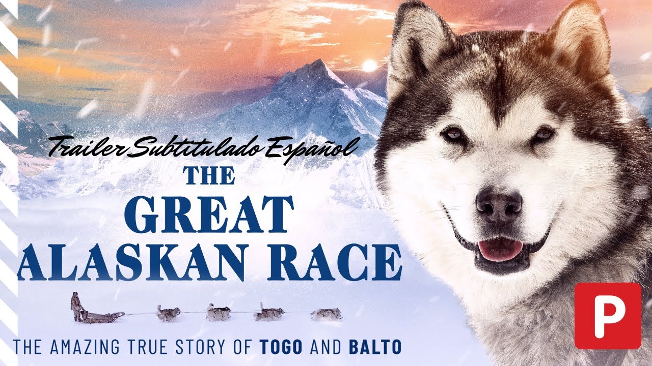 ✅🎥THE GREAT ALASKAN RACE Tráiler Oficial En ESPAÑOL (Subtitulado) 🎬 Película, Drama, Aventura.