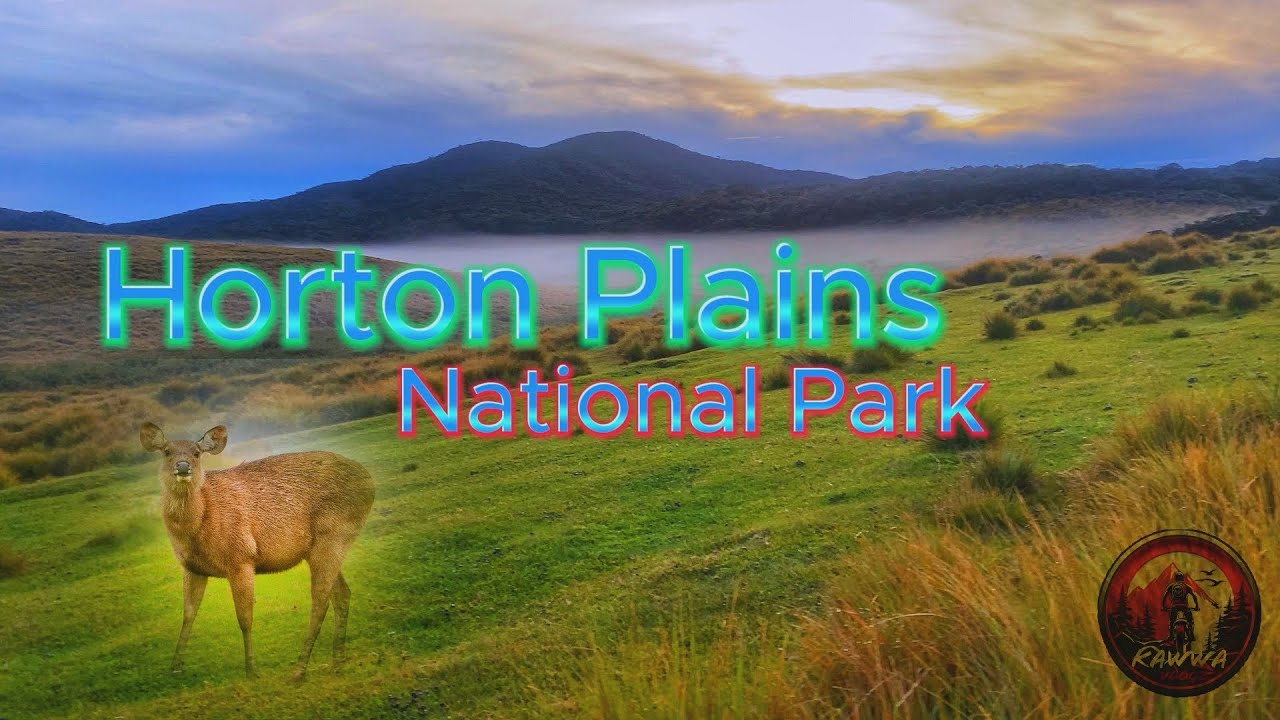 Horton Plains National Park | KawwaVlogz | Vlogs#003