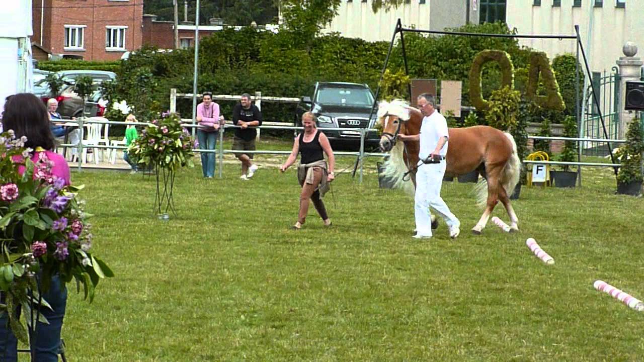 Liz. Neidhart - Benelux Keuring 2011