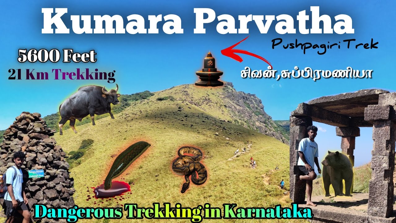 21KM சிவனை தேடி குமார பர்வதா🔥 Kumara parvatha Trekking 😱 Pushpagiri Trek 😱 Karnataka /  Travel Vijay