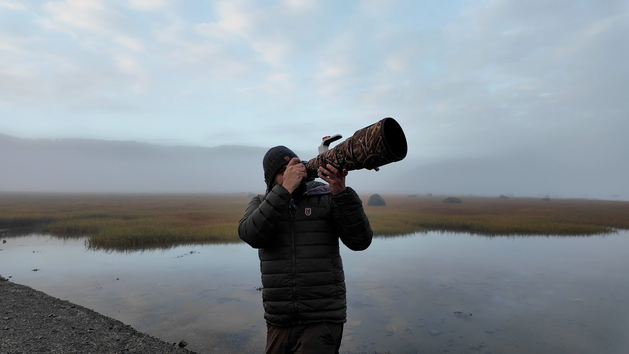 Wildlife Photography With Sony Alpha A1ii - Photographing Heron In Flight In The Mist!!!