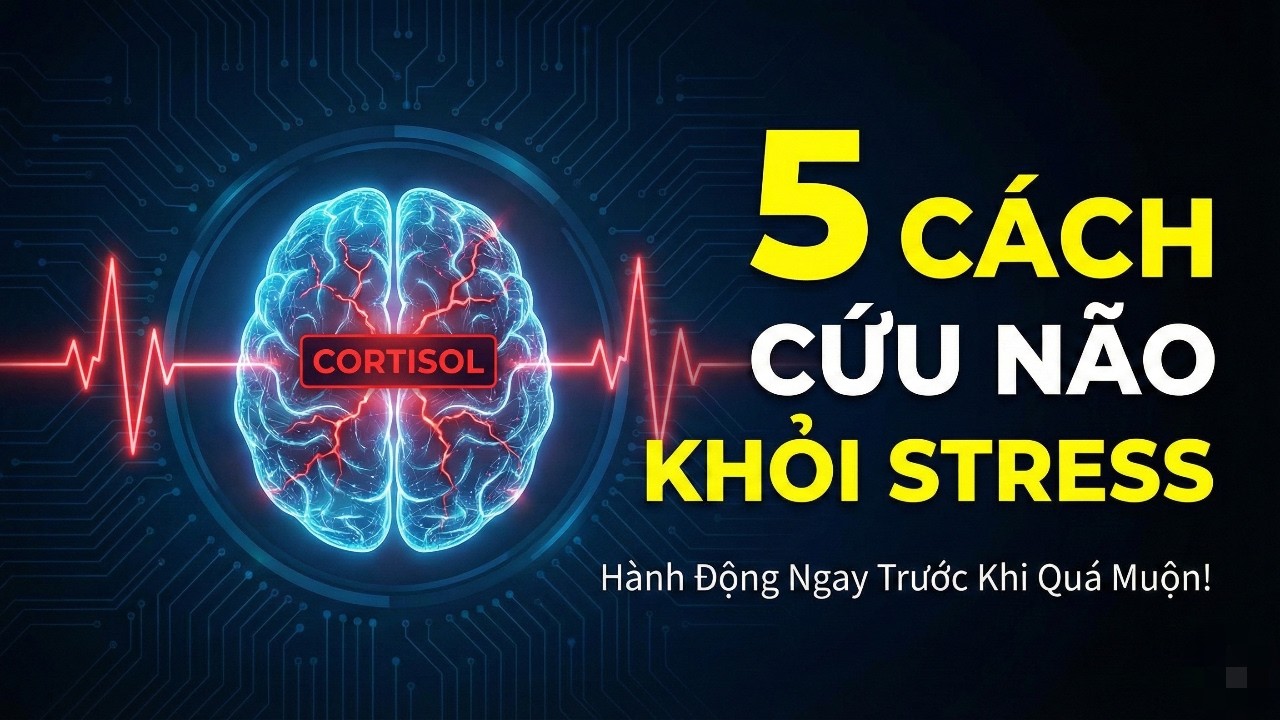 Stress Đang Ăn Mòn Nội Tạng Bạn Mỗi Ngày - 5 Dấu Hiệu Cần Cấp Cứu Ngay!
