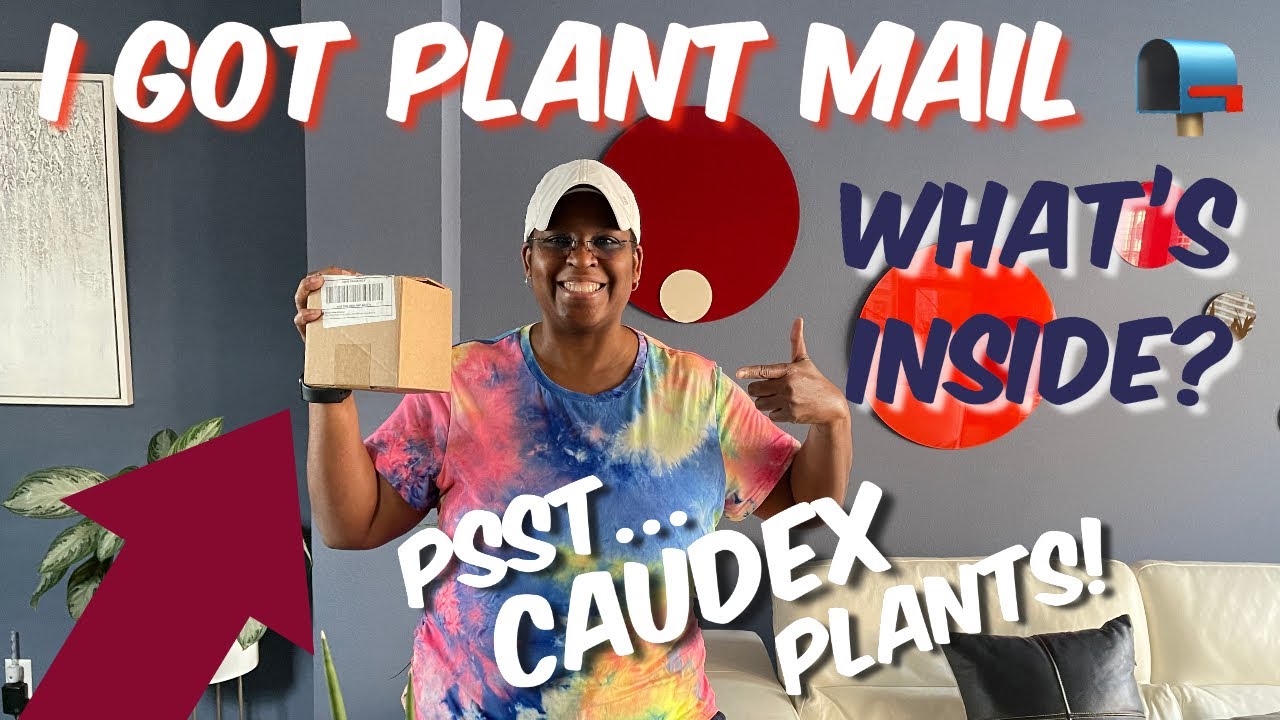 128: Exciting Unboxing | One Of My Favorite Caudex Plants!