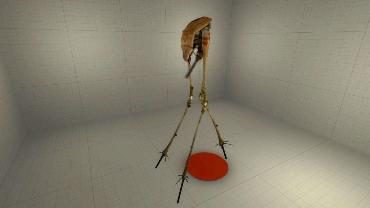 Half-Life 2: Unused/scrapped animations