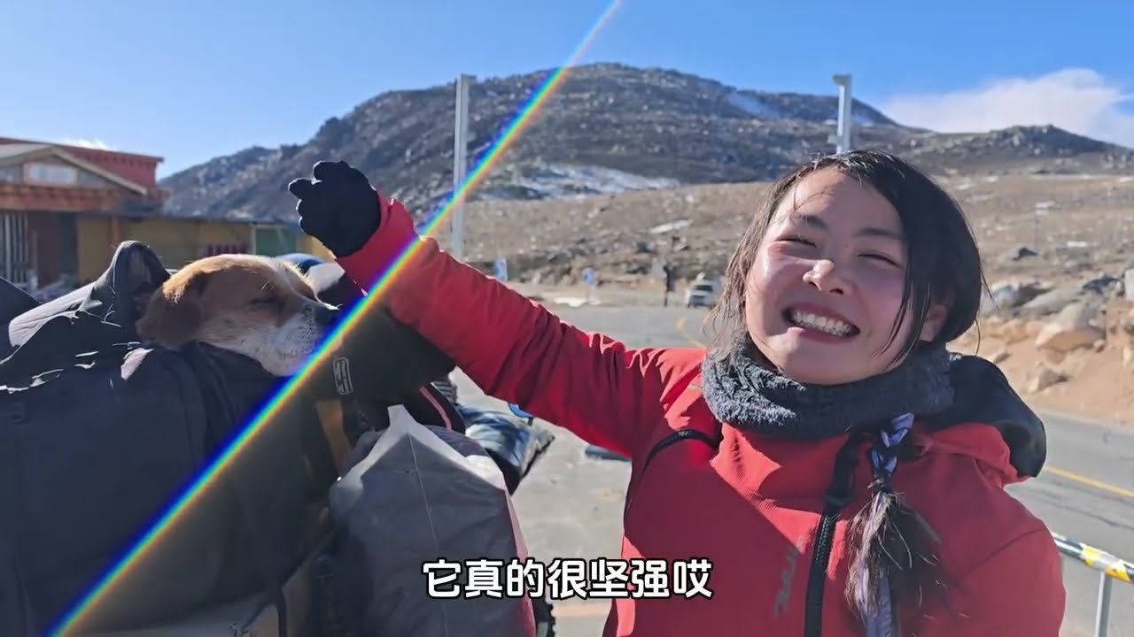 天寒地冻的川西高原，捡到一条流浪狗，把它塞到摩托尾箱里！#女骑 #川西高原 #流浪狗 #摩托车 #摩旅